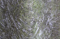 Trillacott fibreglass roof work